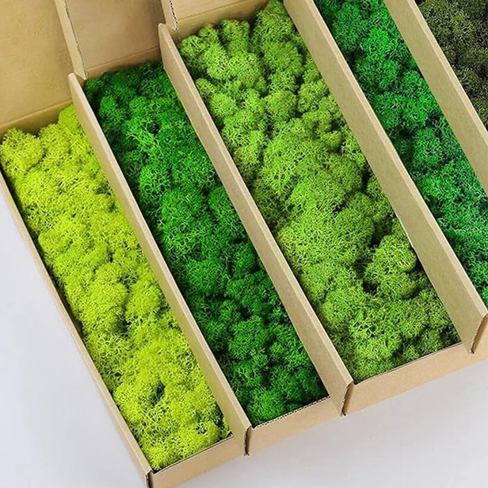 Sphagnum Moss Dry - 20-200g plantes vertes artificielles fausse herbe
