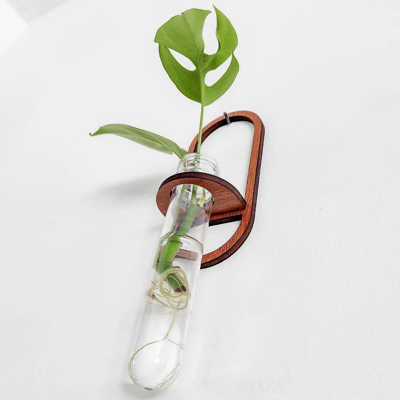 Propagation Station Vase - Vase pour plantes hydroponiques, étagère murale