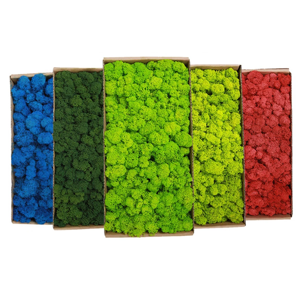 20-200g plantes vertes artific - Sphagnum Moss Dry avis et prix
