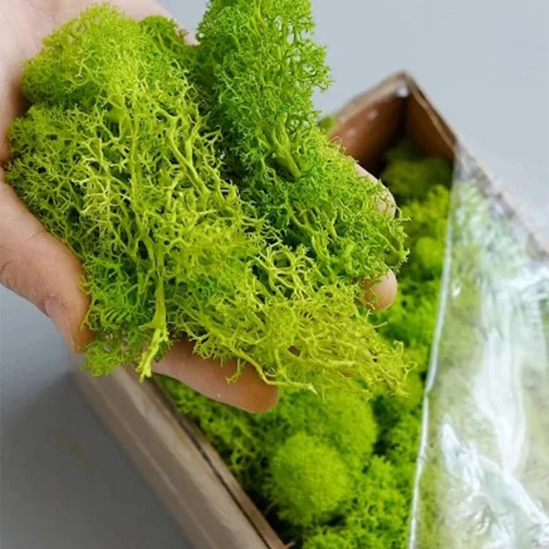 20-200g plantes vertes artific - Sphagnum Moss Dry avis et prix