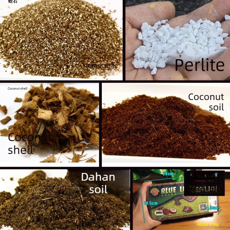 Briques de fibre de coco pour  - Sphagnum Moss Dry avis et prix