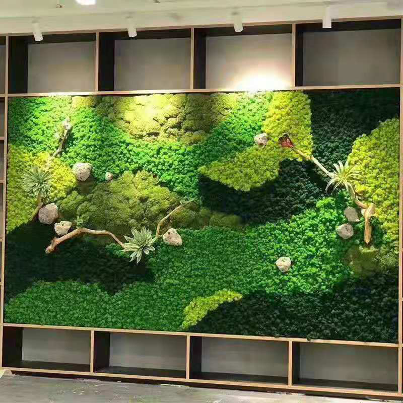 Mousse Verte Artificielle pour - Sphagnum Moss Dry avis et prix