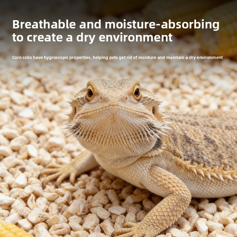 Litière pour reptiles en épi d - Sphagnum Moss Dry avis et prix