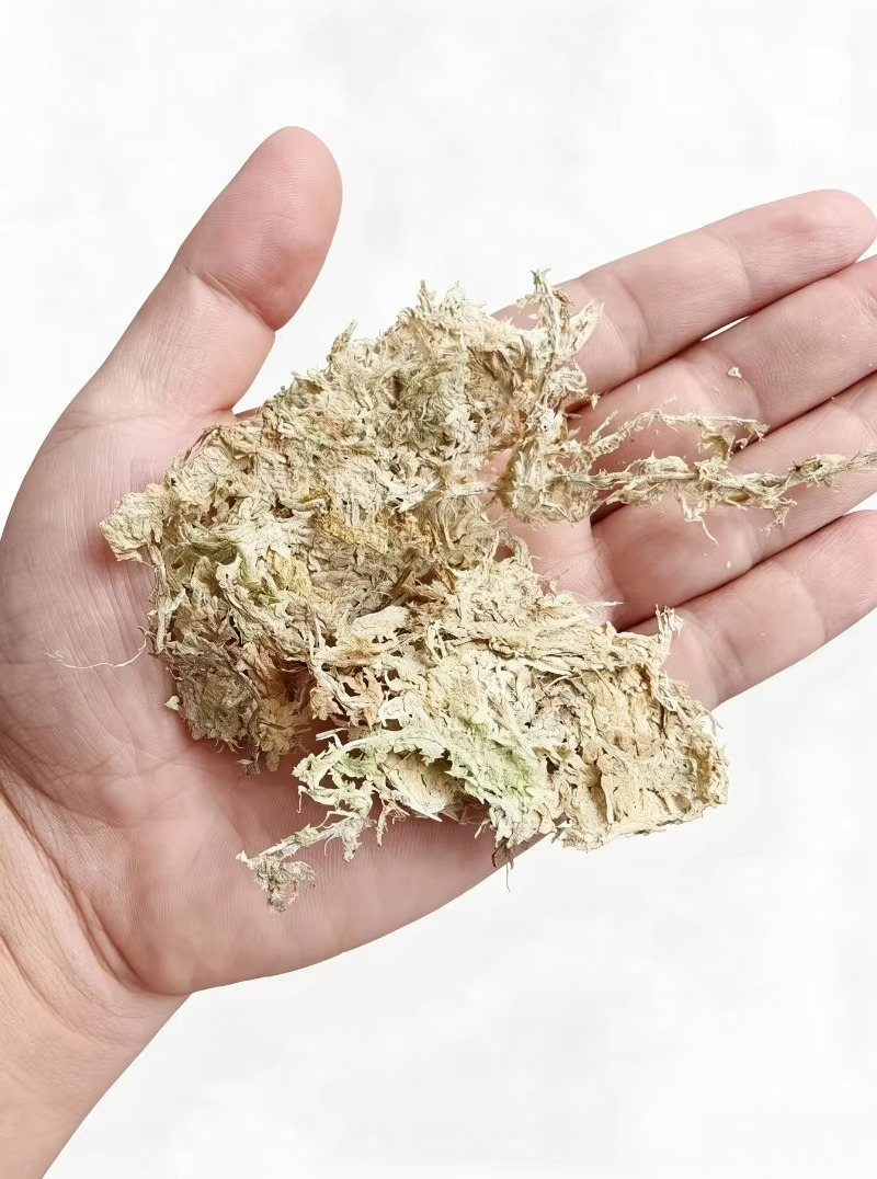Mousse de Sphagnum de qualité  - Sphagnum Moss Dry avis et prix