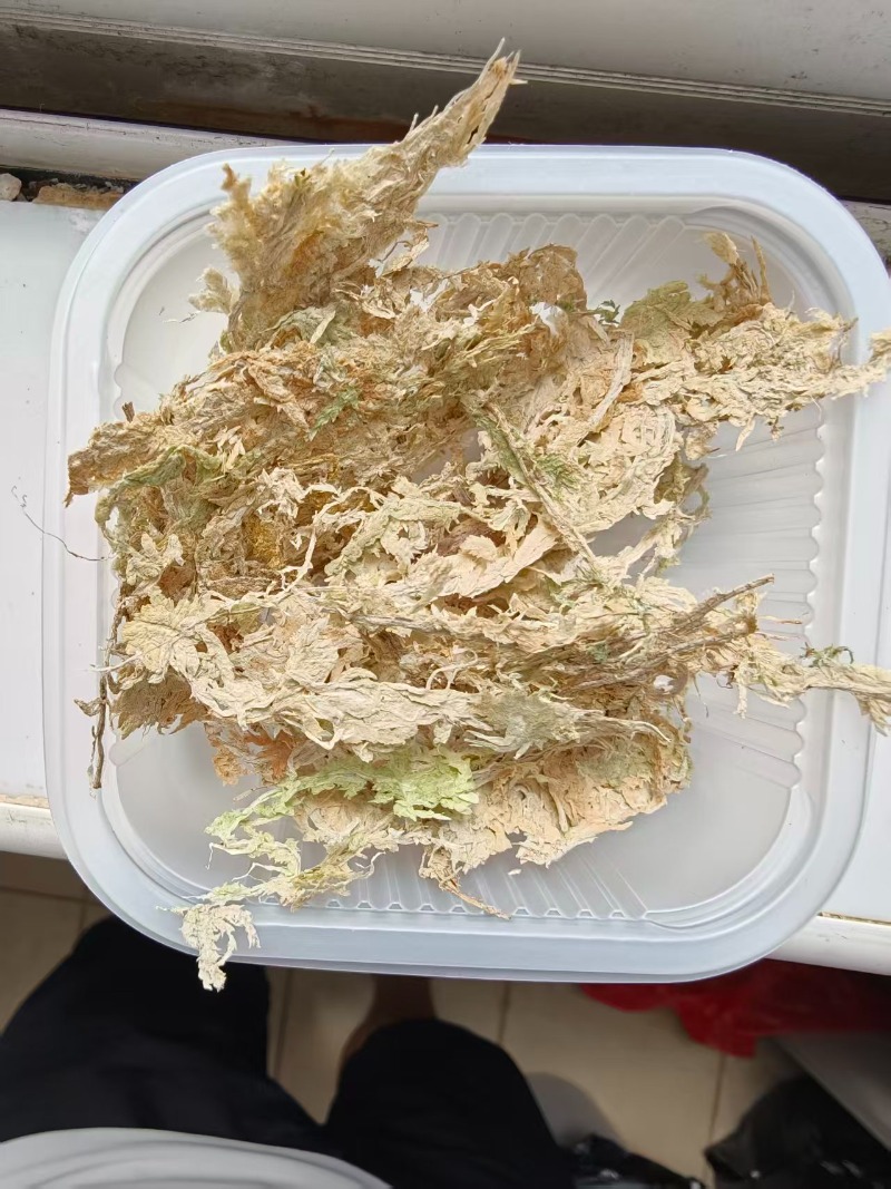 Mousse de Sphagnum de qualité  - Sphagnum Moss Dry avis et prix