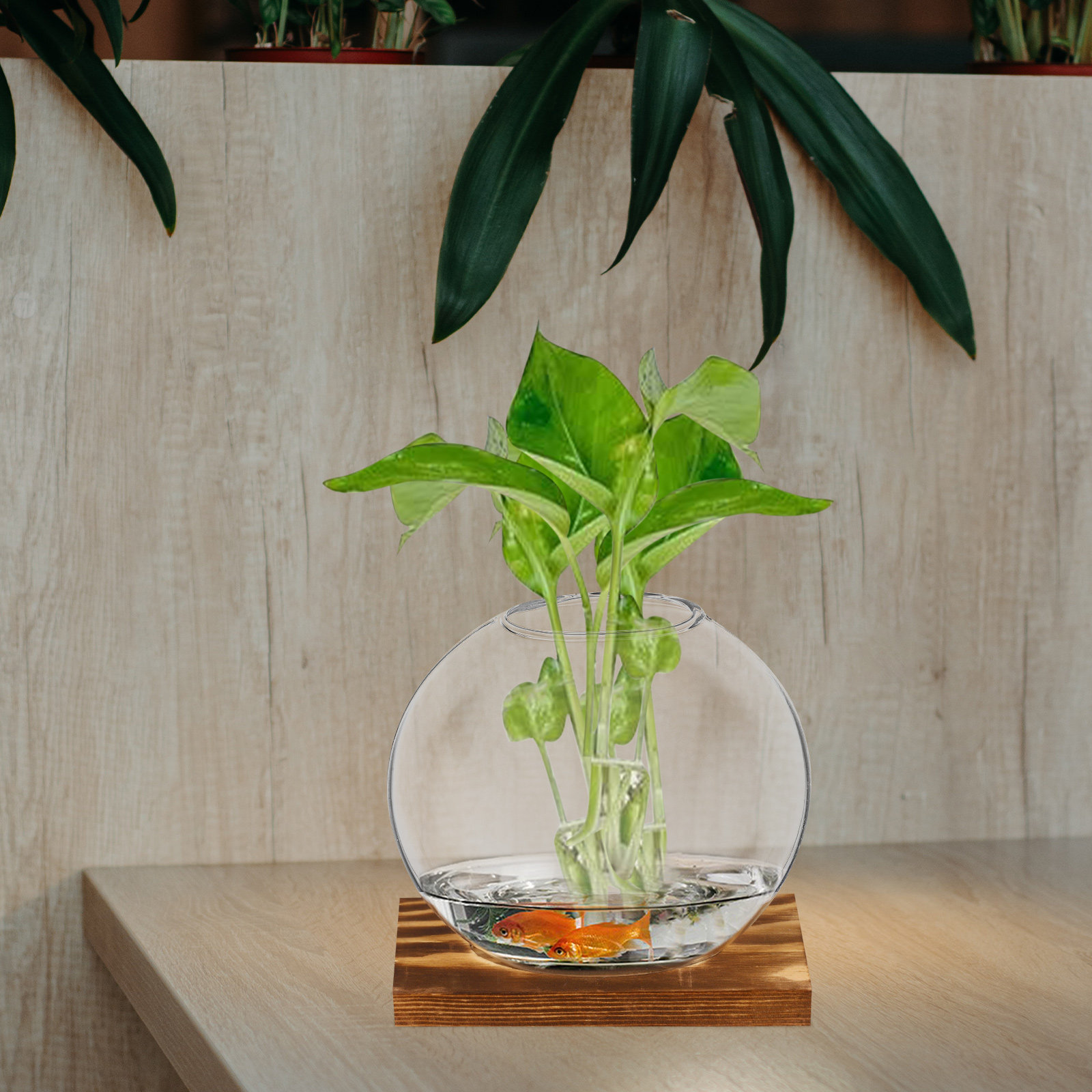 2 ensembles de petits vases en - Propagation Station Vase avis et prix