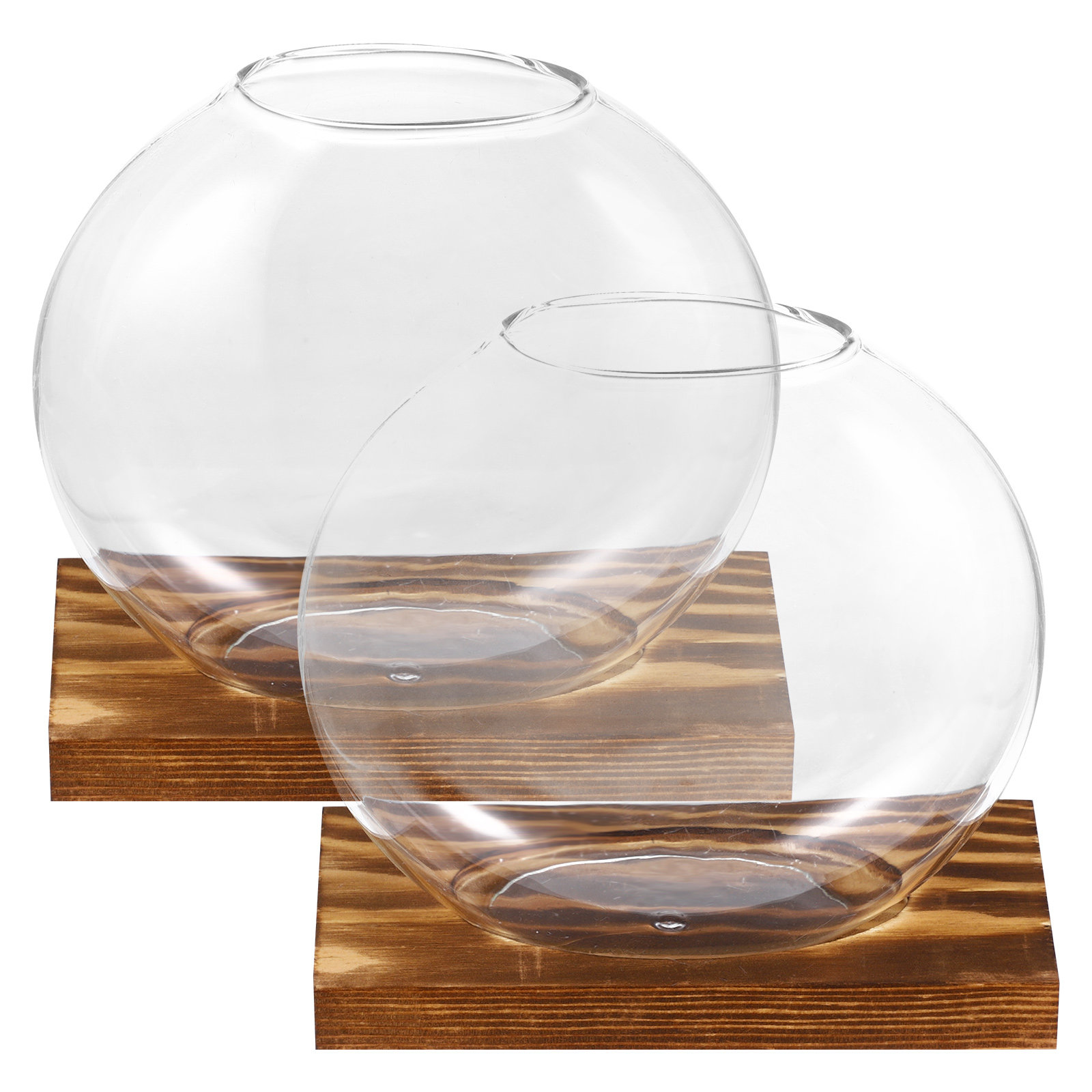 2 ensembles de petits vases en - Propagation Station Vase avis et prix