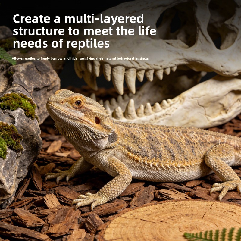Écorce de pin pour reptiles, s - Sphagnum Moss Dry avis et prix