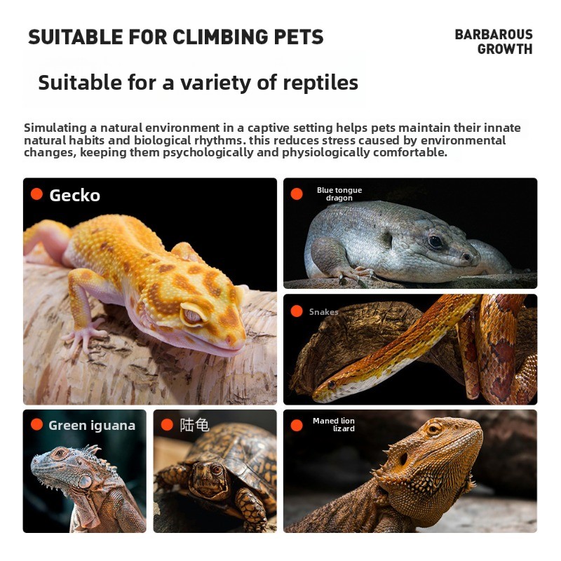 Écorce de pin pour reptiles, s - Sphagnum Moss Dry avis et prix